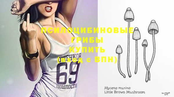 mix Белокуриха