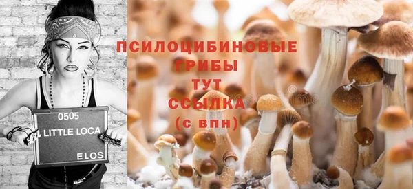 mix Белокуриха
