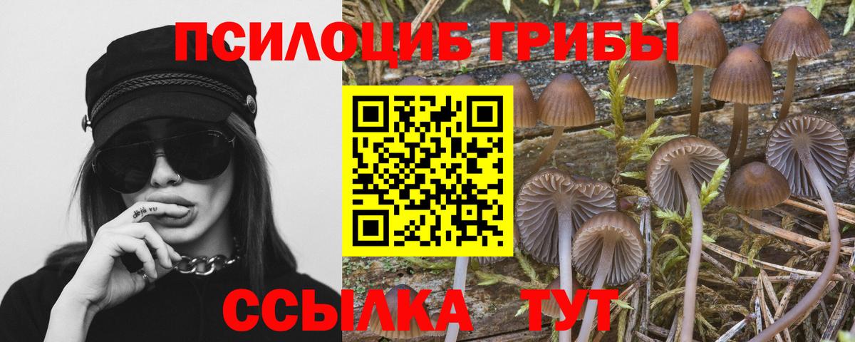 Великий Устюг  дарнет шоп  Вход с VPN  Галлюциногенные грибы прущие грибы  Галлюциногенные грибы Cubensis 